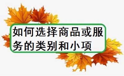 如何選擇商品或服務(wù)的類別和小項